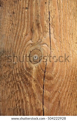 The surface of the wood. Background, texture.