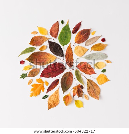 Creative layout of colorful autumn leaves. Flat lay. Season concept.