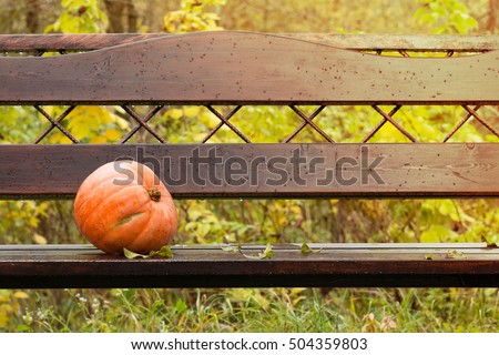 Big pumpkin on a wooden bench with rain drops