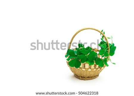 Beautiful green leaves of clover in woven baskets from bamboo.
