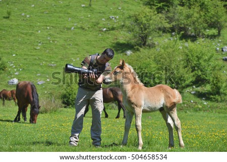 Wildlife photographer showing a picture on camera to a little foal in green mountain environment