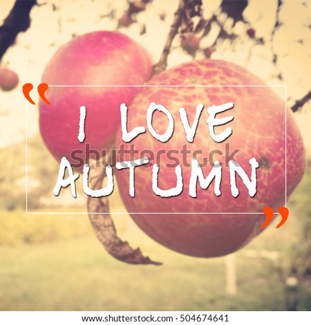 Morivational quote with i love autumn text with apples on blurred background as harvest time concept