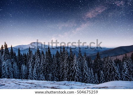 Dairy Star Trek in the winter woods. Dramatic and picturesque scene. Carpathian, Ukraine, Europe.