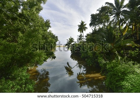 Wilderness Forest River Reflections. River flows through the wilderness of Terengganu open sea