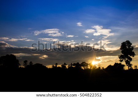 Twilight sky and golden light with Silhouette tree. High level of noise. Night sky with cloud.