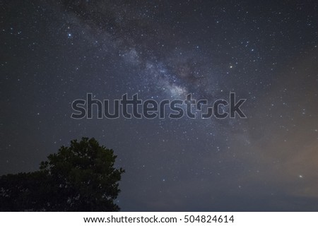 Silhouette of tree and beautiful milkyway on a night sky. Long exposure photograph. Image taken at Sabah Borneo Malaysia