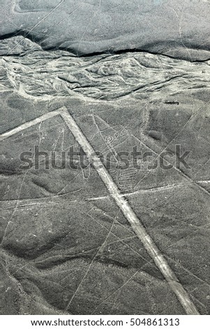 whale drawing in the Nazca desert