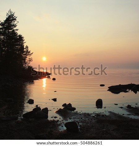 Wild nature of Russian North. Sunset at Valaam island. Toned photo. Rocky shore, lake and pine trees. Calm summer evening. Republic of Karelia, Russia.
