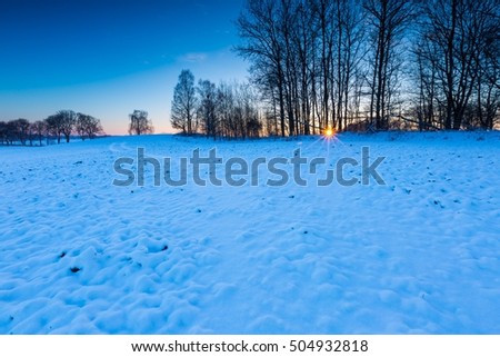 Beautiful winter landscape. Calm winter afternoon with sunny weather and a lot of snow.