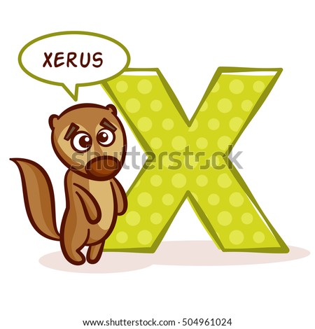 ABC ZOO Alphabet Letter X Xerus Vector Illustration