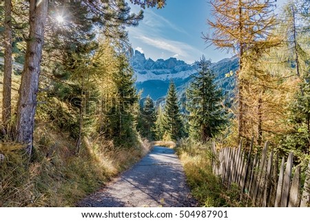 Colors of Dolomites in autumn with paths and meadows surrounded by larch and birch gold