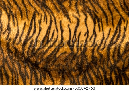 Beautiful tiger fur pattern texture background.