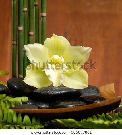 spa concept zen basalt stones with orchid on bowl, bamboo grove,fern 