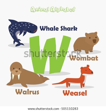 Cute Animal Zoo Alphabet. Letter W for Whale Shark, Walrus, Weasel and Wombat.