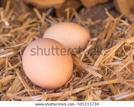Close-up natural brown chicken eggs on a bed of straw. Eggs on the roost close up with blurred background and the soft, selective focus
