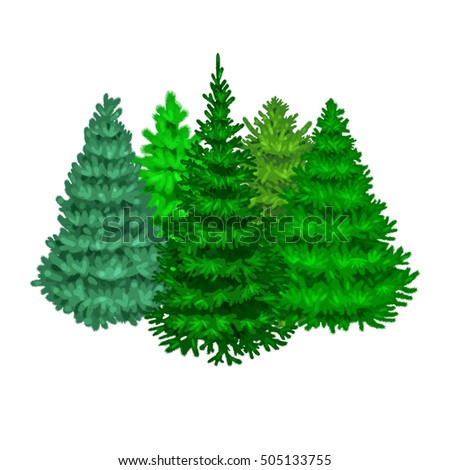 Set of evergreen christmas tree like fir or pine, Blue spruce, green forest xmas sale plants isolated vector illustration