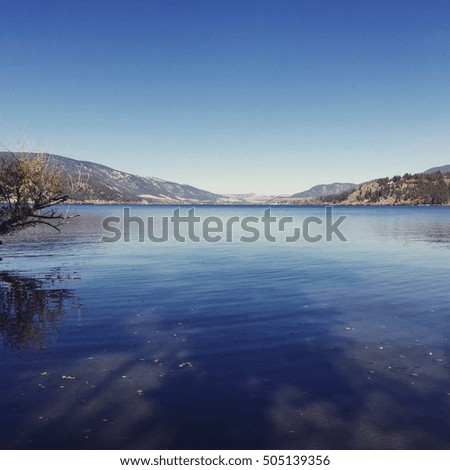 Lake landscape.  Bright blue water and bright clear blue sky. Trees and shadows on calm water with branches and tree shadows in foreground.  Reflections on water.  Mountains and horizon in background 
