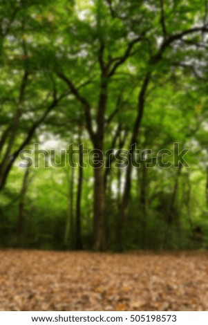 English woodland scene at the start of autumn Out of focus.