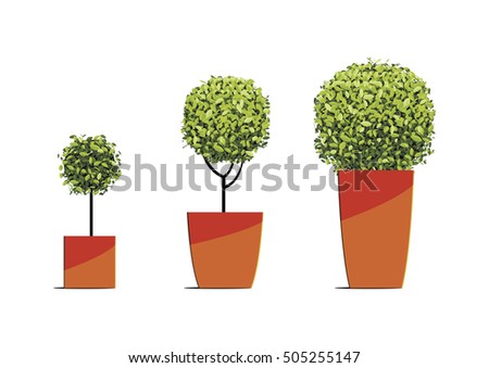 Tree round shape in pots isolated on white background. Vector illustration