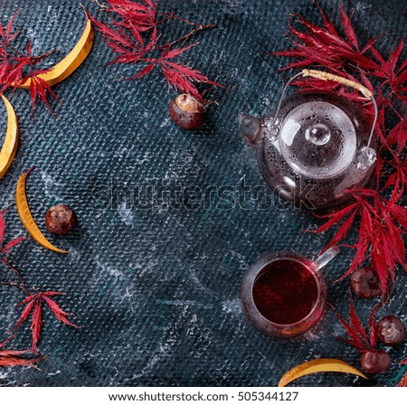 Autumn red hibiscus tea in glass cup and teapot standing on dark wet texture background with fall maple leaves and chestnuts. Overhead view space for text.