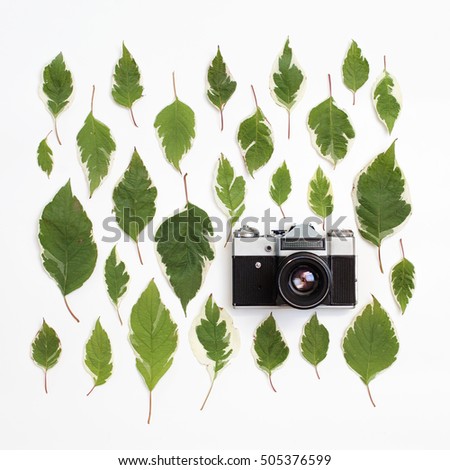 Vintage retro photo camera and green leaves pattern on white background. Flat lay, top view. Creative arrangement of white dogwood leaves (cornus alba).