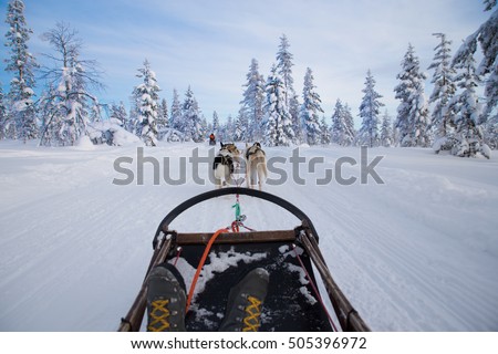 Dog sledding Royalty-Free Stock Photo #505396972