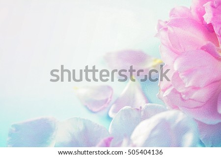 sweet roses in soft color style on mulberry paper texture for romantic background