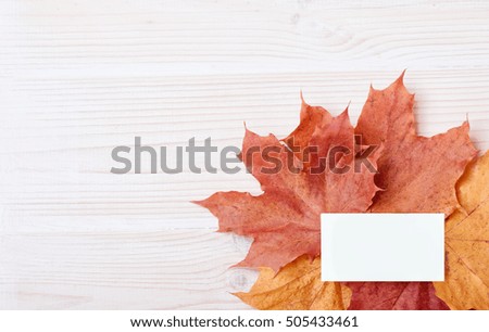 background light wood with white card clean