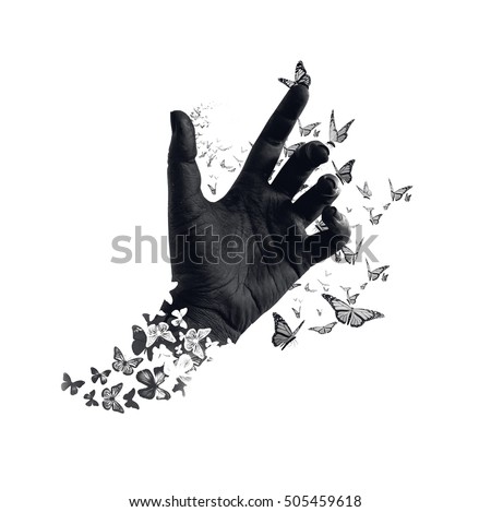 
Life transformation concept image of butterflies flying out and around of black painted hand. Abstract symbol of freedom or dream, hope renewal and spirituality or human faith. Isolated. Monochrome Royalty-Free Stock Photo #505459618