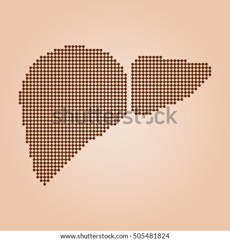 Human liver anatomy. Liver medical science vector illustration. Royalty-Free Stock Photo #505481824