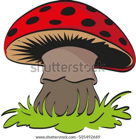 Spotted mushroom