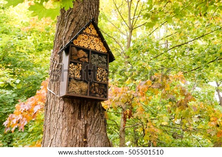 Wooden insect hotel or house on maple tree, in a city environment. Finland Royalty-Free Stock Photo #505501510