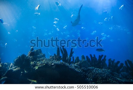 Underwater scene with light rays and coral reef and fishes and shark in the background