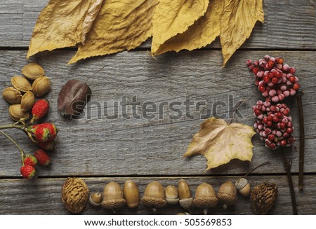 concept autumn - decorative frame on a wooden table space for writing text. toned image