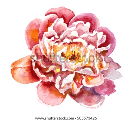 flowers.peony.watercolor.This image can be used for postcards invitations flyers