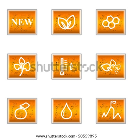 Set of 9 glossy web icons (set 19).