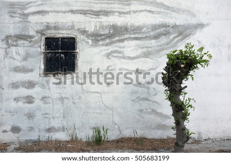 Wall and tree