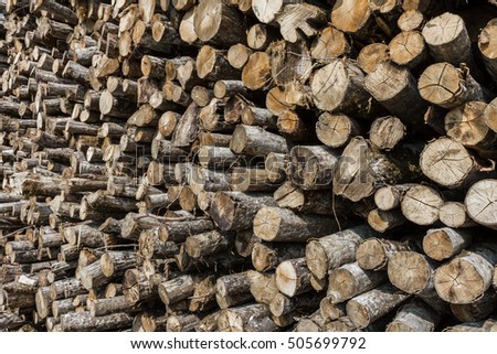 Background of a big pile of wooden logs. Stock for the winter.