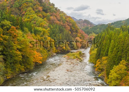 Autumn Colors From Akita Nairiku Line, Akita, Japan
