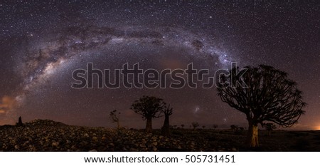 milkyway panorama and qiver tree's