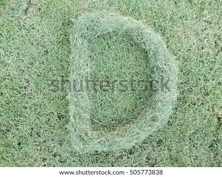 grass letter D isolated on white background