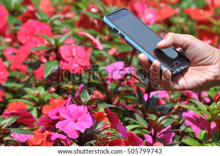 Girl use mobile phone, colorful flower garden as background.