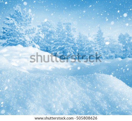 Winter landscape with snowdrifts and snow-covered forest