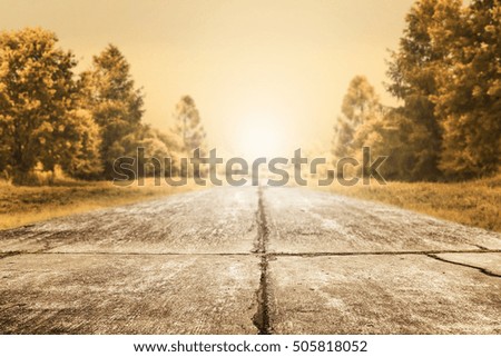 autumn road with sunset time and free space for your decoration 