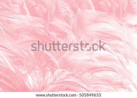 Coral Pink vintage color trends feather texture background