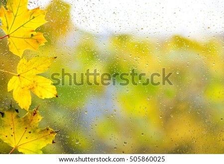 Dried autumn leaves lying on the background of the rainy window