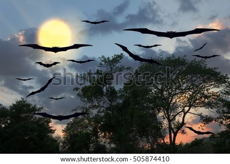 Halloween day bat Vampire flying horrifying in  forest and sky for background with copy space for add text