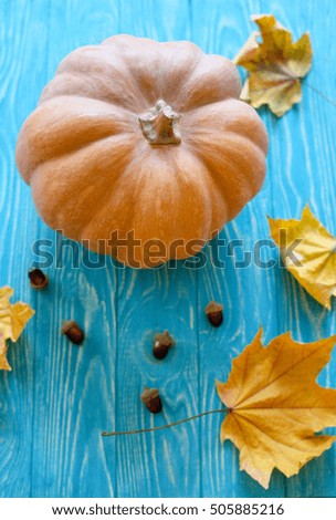 Beautiful pumpkin on a blue background. Halloween Festival. Healthy food.