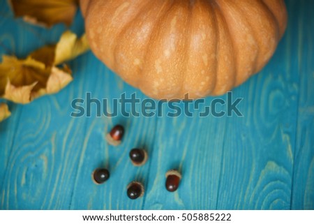 Mature beautiful pumpkin on a blue background. The festive mood. Halloween.