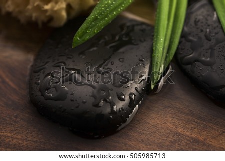 Spa still life, with green leaf, stones and water